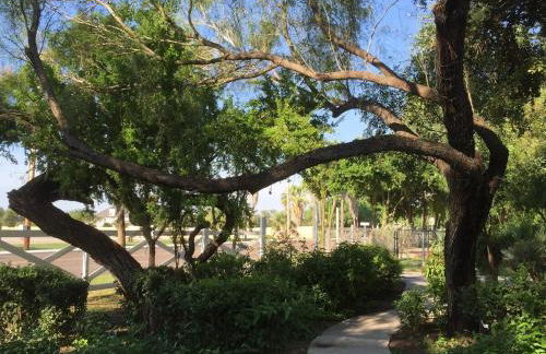 The Bryan House, Where History & Nature Meet! - Foto 6