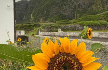 Casa do Branco - Foto 23