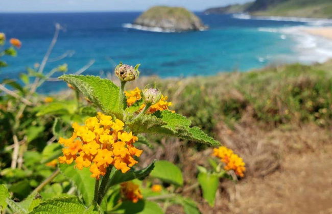 Randonnée sur la Côte Bleue - Photo 5