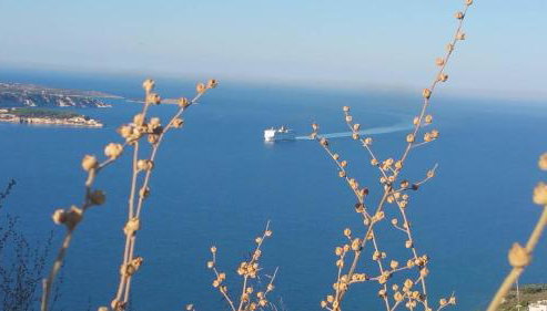 PALACE Sea view - Foto 5