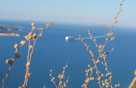 PALACE Sea view - Foto 5