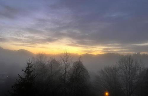 Wunderschone Ferienwohnung im Burgenland - Foto 53