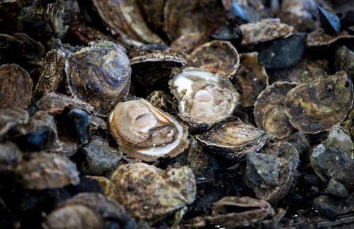 Holiday Home Monika - Foto 79