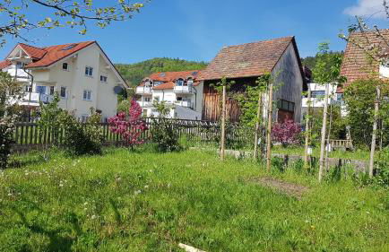 Historisches Fachwerkhaus "Hoher Hirschen" mit romantischem Hof und Garten - Charmantes Studio und grosses, museales Apartment - Foto 22