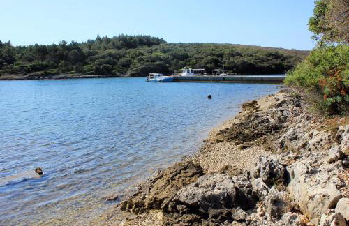 Apartments with parking space Punta kriza, Cres - 867 - Foto 6