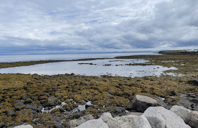 Bay View Apartments - Foto 64