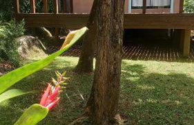 Casa Costa na beira da Lagoa acesso trilha ou barco - Foto 2