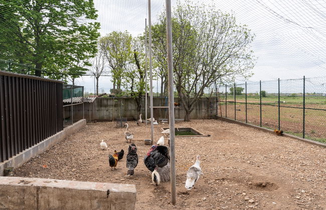 Agriturismo Pozzo Fiorito - Foto 60