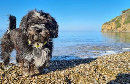 Mandel 2 Residence by Mandel club - Foto 38