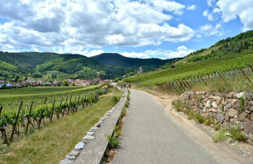 Naova Cosy Studio - Foto 39