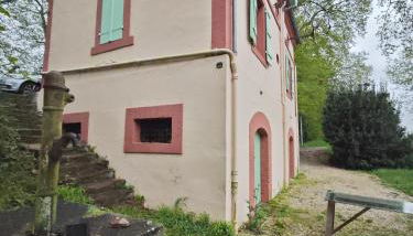 Les coccinelles - Foto 5