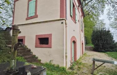 Les coccinelles - Foto 5