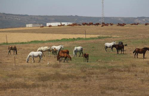 NEW!! Bonito adosado en Zahara de los Atunes - Foto 22
