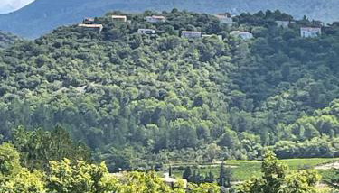 Les Cigales de Mollans - Foto 4