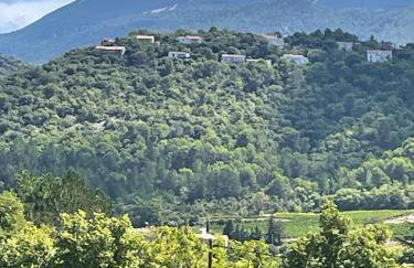 Les Cigales de Mollans - Foto 4