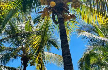 Blue Ocean Costa Adeje 506 - Foto 59