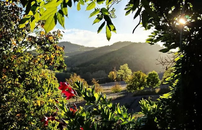 agriturismo il melo rosso - Foto 9