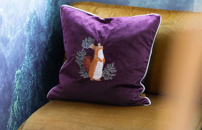 Bonnieview House Tarves Aberdeenshire - Photo 34