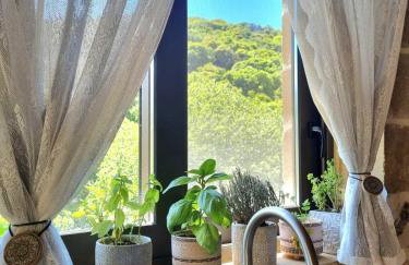 Mesavlia Traditional Stone House - Photo 37