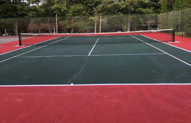 Blue Knob Bear Den (Nordic Center/Golf Course) - Foto 29