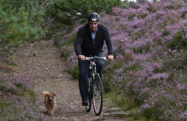 Drumguish Cottage - Foto 40