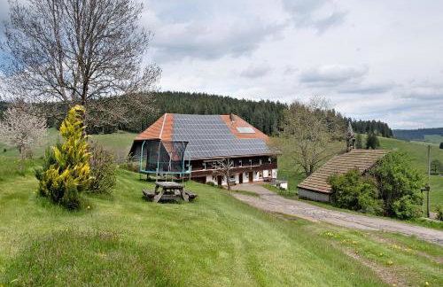 Rutscherhof Breitnau - Photo 30