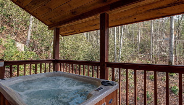 Dreams & Streams by Jackson Mountain Rentals - Foto 2, Servicios del alojamiento