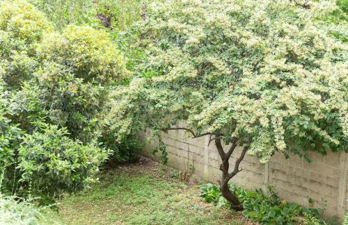 Cosy bleu proche arena JO (Bercy), RER C, métro 7 - Foto 6
