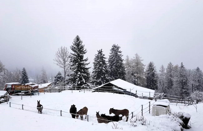 Chalet Verrel Near Aletsch Ski Gondolas - Foto 44