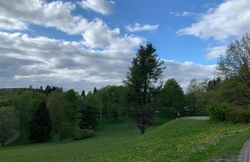 Gemütliche Ferienwohnung Harz Braunlage Hohegeiß - Foto 23