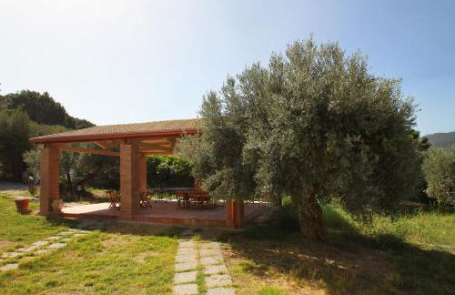 La Gabbianella E Il Gatto - Foto 13