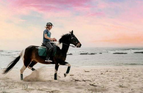 Casa do Cato - Foto 53