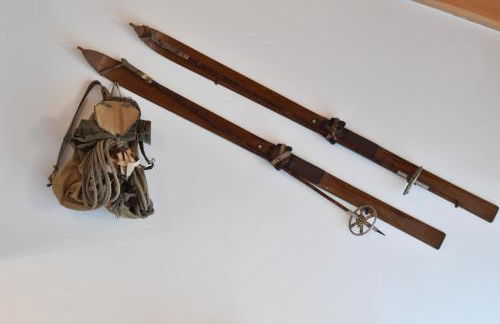 Relax in Pineta - Photo 9