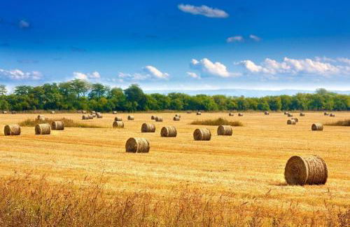 Ferienhaus-am-Walnussbaum - Foto 36