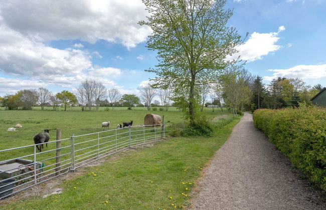 "Ilsa" - 9.8km from the sea - Foto 15