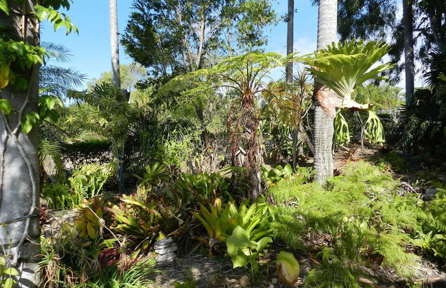 Hay Point Country B&B - Foto 18