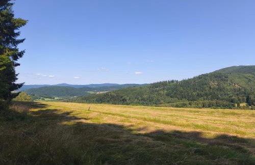 Górska Polana, Stronie Śląskie - Młynowiec - Foto 27