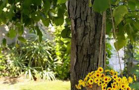 VILA GUIA in Valdreu - Foto 43