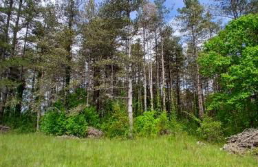 Les Gîtes de La Moure Basse - Foto 7