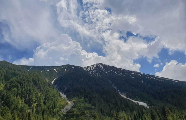 Apartment Belvedere 43 - Photo 29