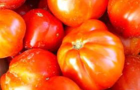 suite in cascina affittacamere - Photo 57