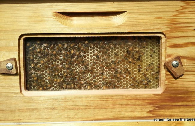 Casale Della Pergola With Cottage Sugarcane Pool - Foto 40