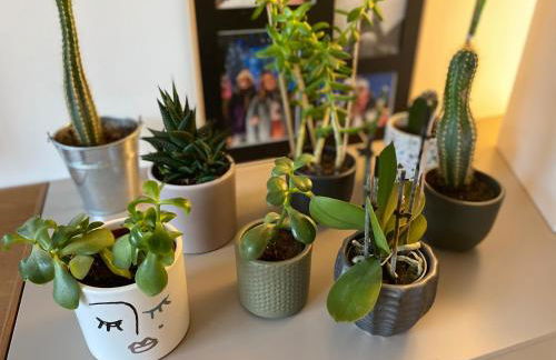 La Douceur Tourangelle - Foto 10