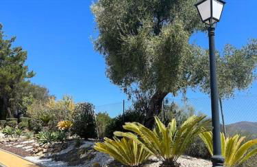 Casa Anahita Marbella Samara Resort - Foto 35