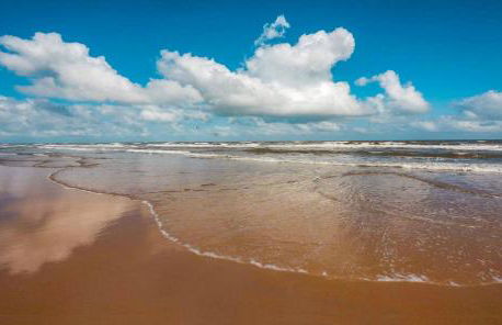 The Dawn on Galveston Beach - Foto 13