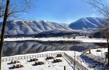 Tenuta Casa Arsa - Foto 16