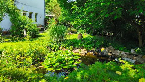 Casa Verde Sinnerthal - Foto 2