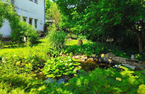 Casa Verde Sinnerthal - Foto 2