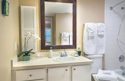 Amelia Island Oceanfront 2 Master Suites - Foto 61