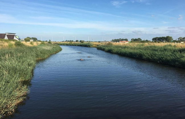 Quiet Getaway w/ Terrace - Foto 39